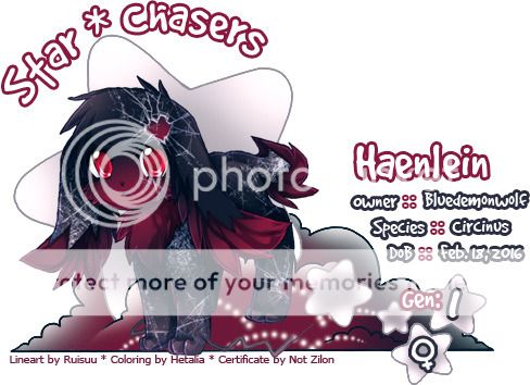 User Image